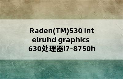 Raden(TM)530 intelruhd graphics 630处理器i7-8750h